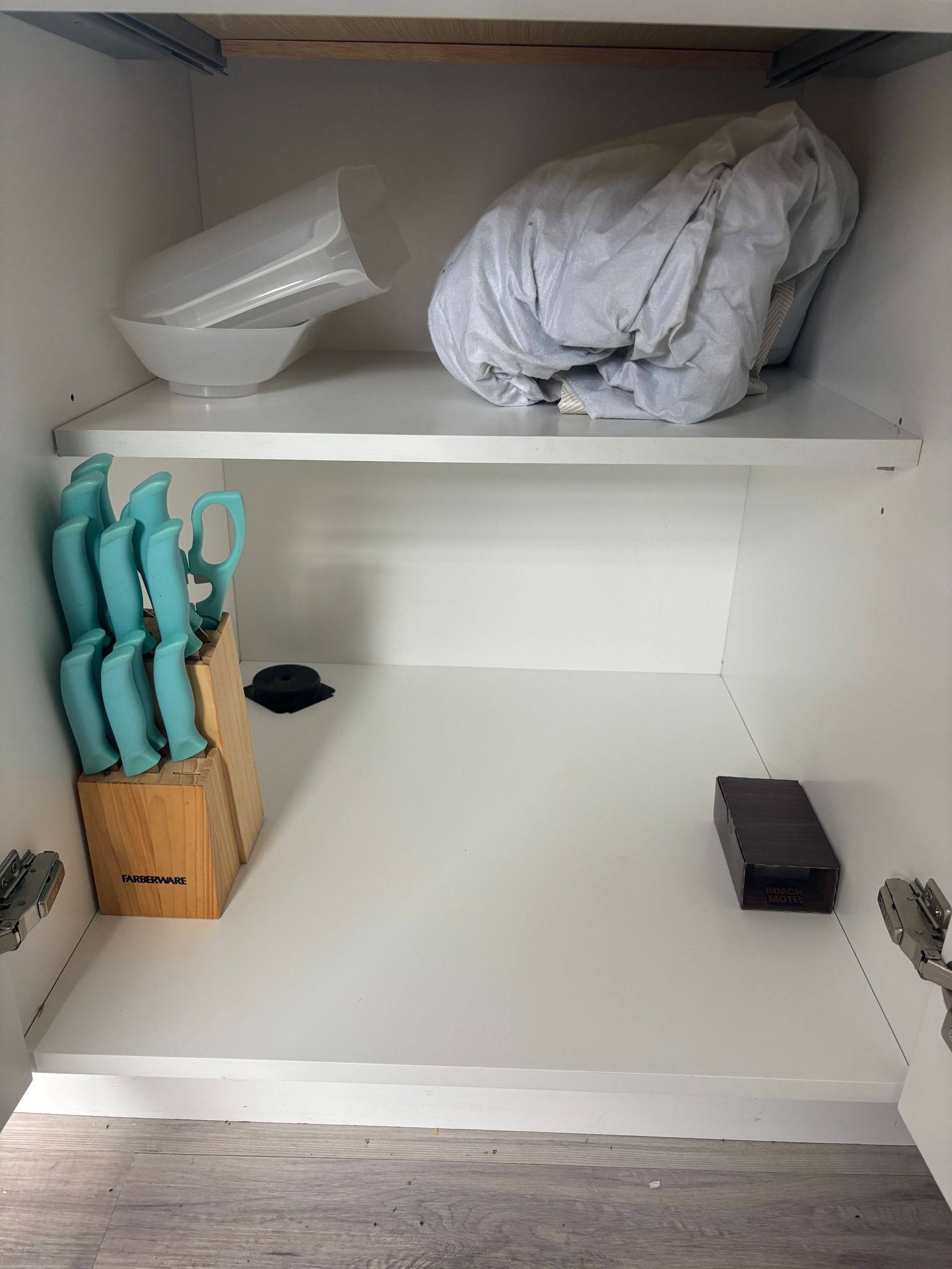 Pet-friendly deep cleaning near me in Delray Beach, FL for condos and homes Pet-friendly deep cleaning near me in Delray Beach, FL for condos and homes