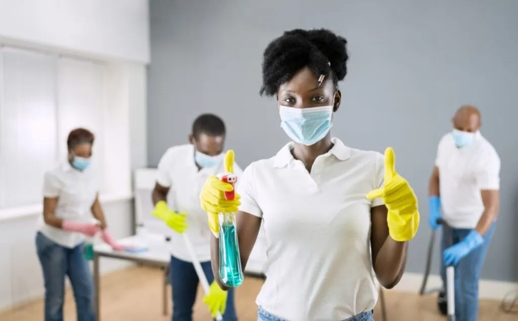 professional cleaning services