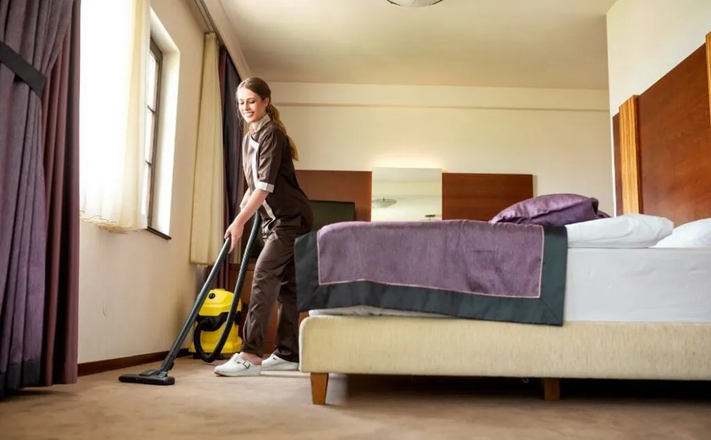cleaning service -  cleaner