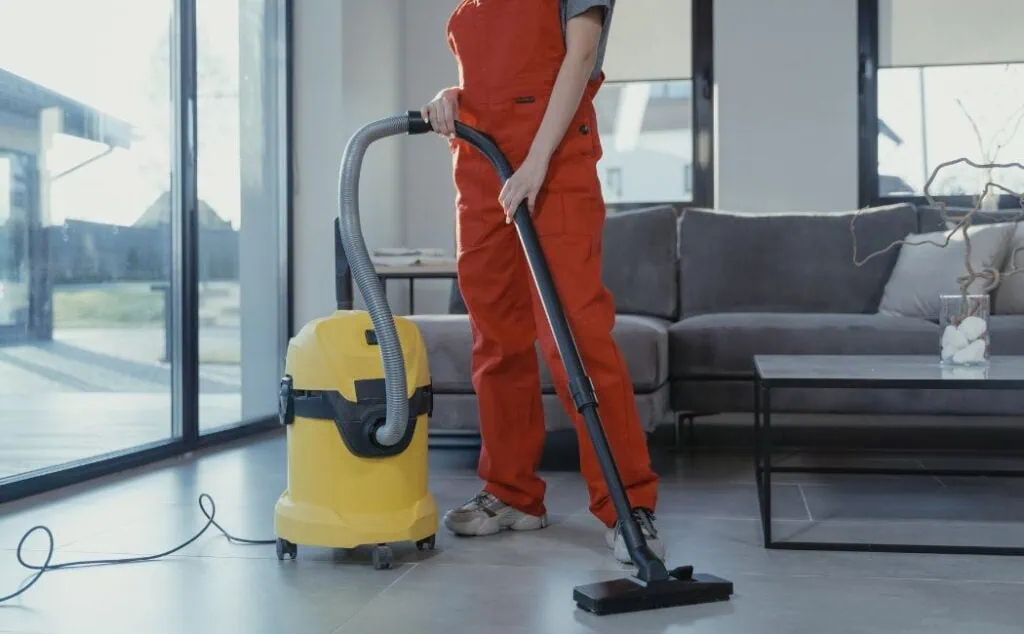 cleaning service - cleaner
