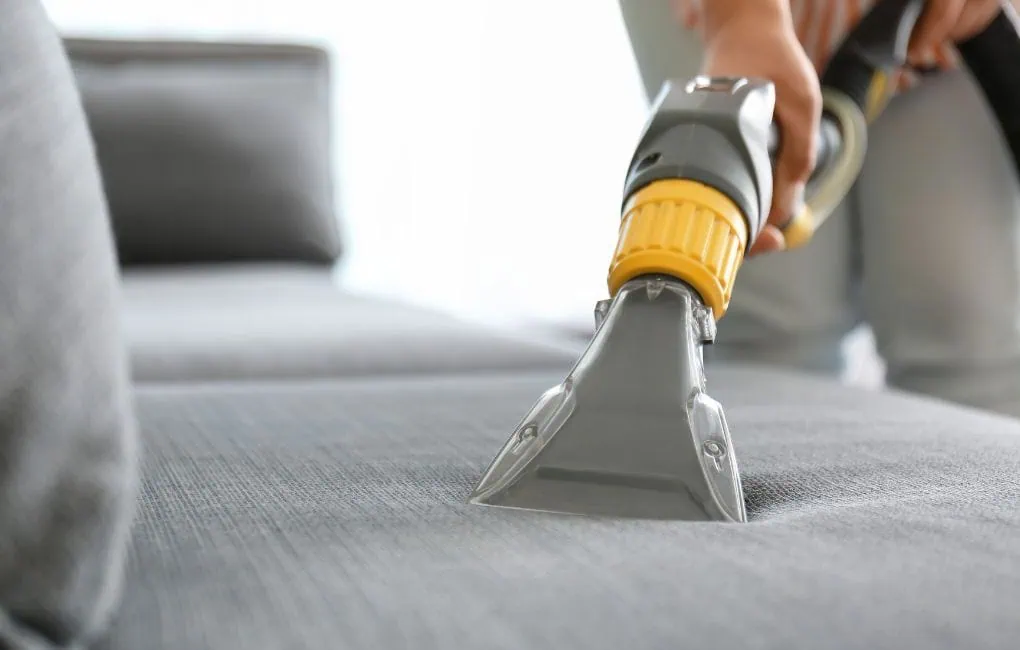 sofa cleaning